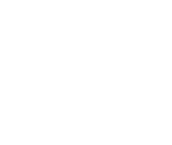 Pega